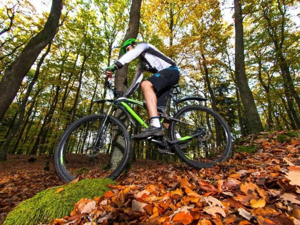 Willa Exloermond Holiday Farm Tweede Exloermond Zewnętrze zdjęcie